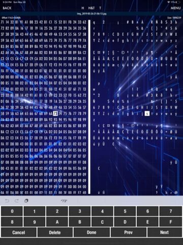 HEX Editor для iOS — скриншот 3