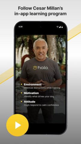 Halo Collar для Android — скриншот 3