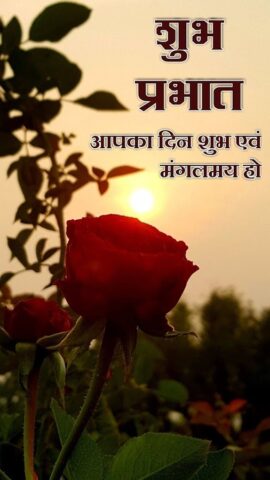 Hindi Good Morning Images для Android — скриншот 3