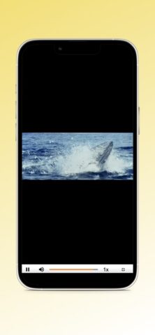 ИнфоПротектор Плеер для iOS — скриншот 1