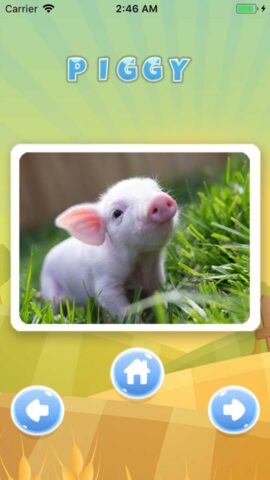 Учить : Животные на английском для iOS — скриншот 4