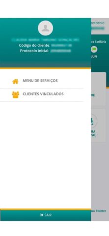 Light Clientes для Android — скриншот 3