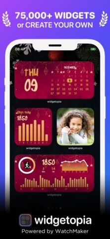 Lock + Home Widgets widgetopia для iOS — скриншот 1