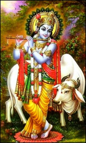 Lord Krishna Photos Wallpaper для Android — скриншот 3