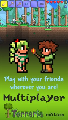 Multiplayer Terraria edition для iOS — скриншот 1
