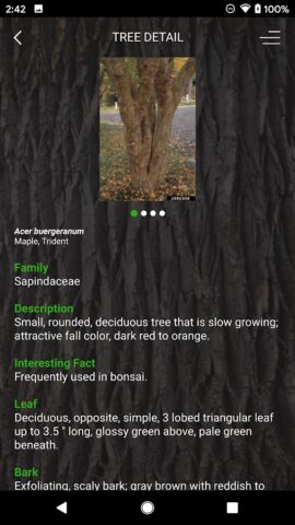 My Tree ID для Android — скриншот 5