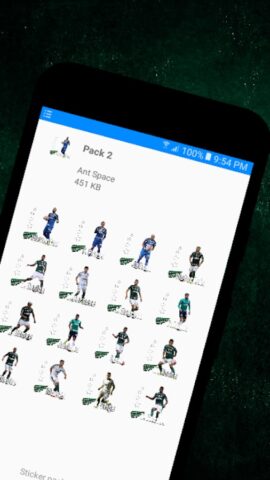 Palmeiras Stickers для Android — скриншот 4