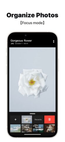 Picbook — Галерея для iOS — скриншот 3