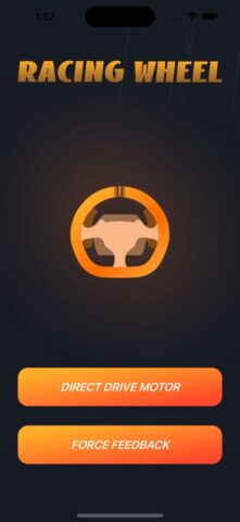 Racing Wheel для iOS — скриншот 1