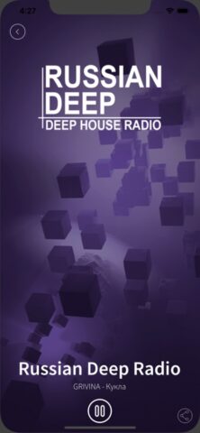 Russian Deep Radio для iOS — скриншот 1