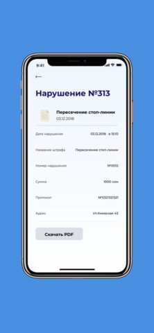 ШтрафИнфо KG для iOS — скриншот 3