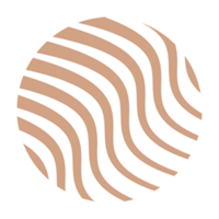 Skinerica для iOS