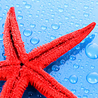 Wallpapers: phone and tablet для Android