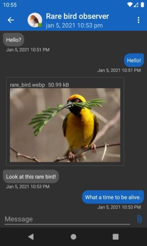 aTox для Android — скриншот 1