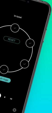 drum tuner EZ для iOS — скриншот 2
