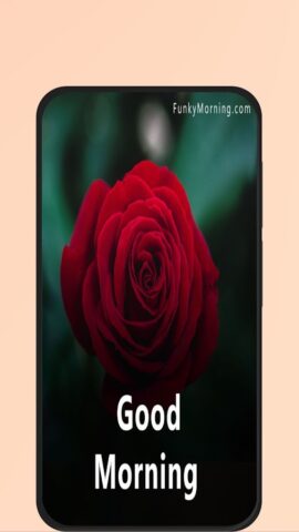 Good Morning Rose для Android — скриншот 4