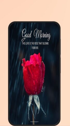 Good Morning Rose для Android — скриншот 5