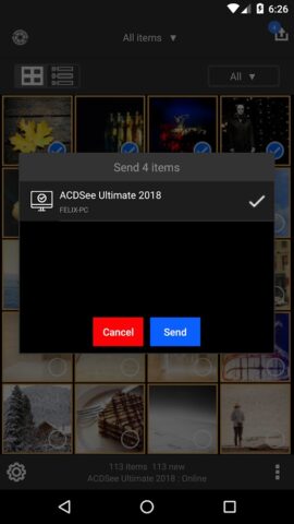 ACDSee Mobile Sync для Android — скриншот 4