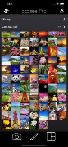 ACDSee Pro для iOS — скриншот 1