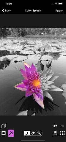 ACDSee Pro для iOS — скриншот 3