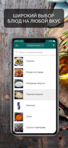 Бакинский бульвар для iOS — скриншот 3