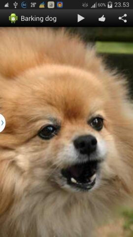 Лающая собака Звуки для Android — скриншот 1