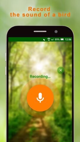 BirdNerd: Bird Song Identifier для Android — скриншот 1