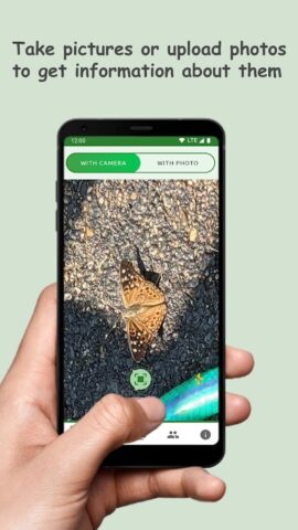 Butterfly: Identify, Search для Android — скриншот 1
