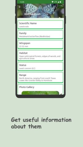 Butterfly: Identify, Search для Android — скриншот 4