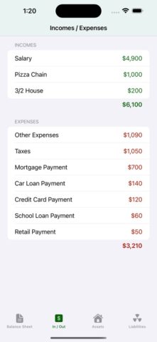Cashflow Balance Sheet для iOS — скриншот 3