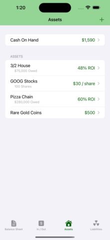 Cashflow Balance Sheet для iOS — скриншот 4