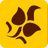 Делан Йозанаш для iOS