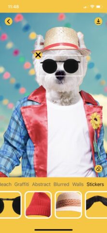 Dog Picture Maker Editor для iOS — скриншот 5