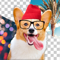 Dog Picture Maker Editor для iOS