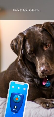 Dog Training Clicker для iOS — скриншот 2