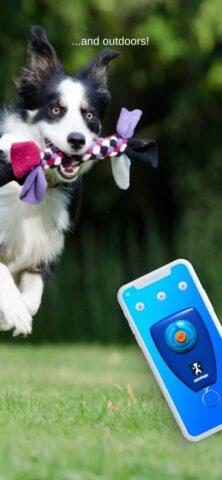 Dog Training Clicker для iOS — скриншот 3