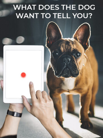 Dog Translator для Android — скриншот 5