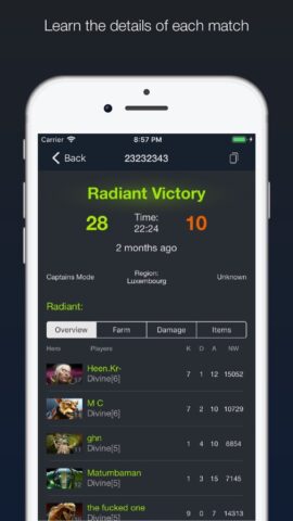 Dota Armory — статистика игры для iOS — скриншот 2