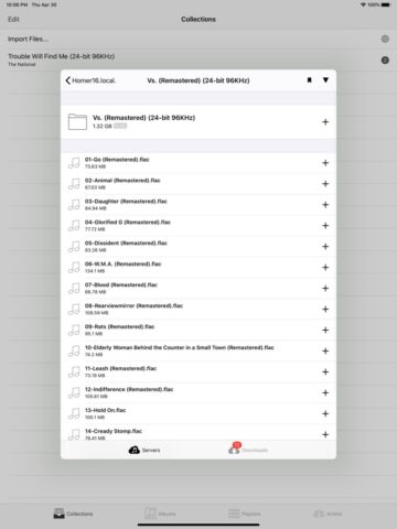 FLAC Player для iOS — скриншот 4