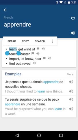 French English Dictionary для Android — скриншот 2