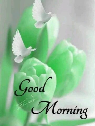 Good Morning Images 2024 для Android — скриншот 5