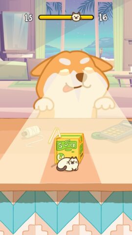 Hide And Seek: Cute Cat vs Dog — скриншот 3