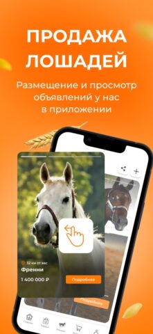 HorseSmart: все для всадника для iOS — скриншот 2