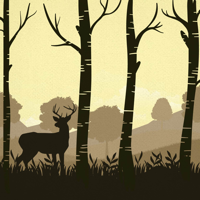 Пение птиц Звуки природы для сна отдыха от стресса для iOS