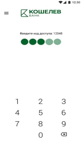 Кошелев online для Android — скриншот 3