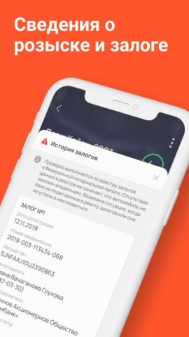Номеротека — проверка авто для Android — скриншот 5