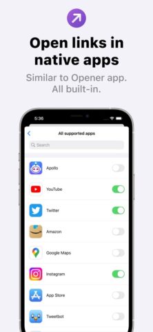 Orion Browser by Kagi для iOS — скриншот 5