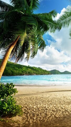 Живые Обои Райский Остров для Android — скриншот 5