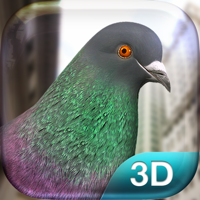 Pigeon Simulator для iOS