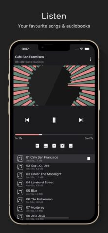 PlayMe: offline media player для iOS — скриншот 3